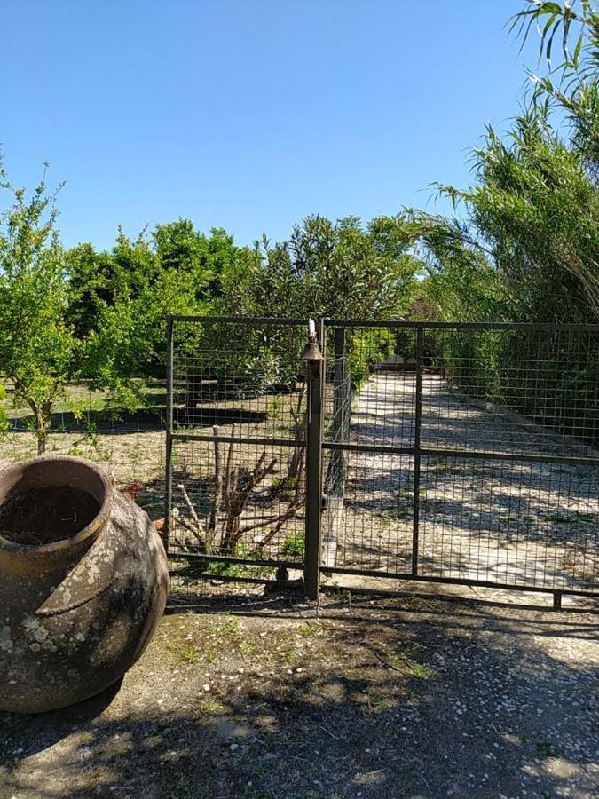 Quinta Da Ponte Das Hortas 3 Elvas Zewnętrze zdjęcie